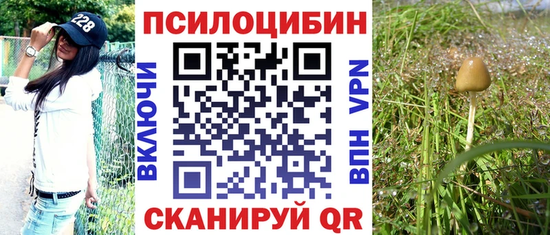 Галлюциногенные грибы Cubensis  нарко площадка Telegram  Ессентукская  купить наркоту 
